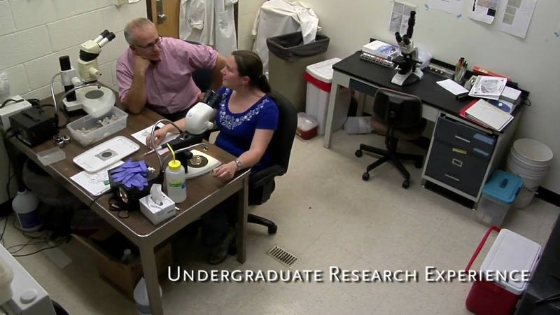 Video - Faculty chair endowments improve student experience 