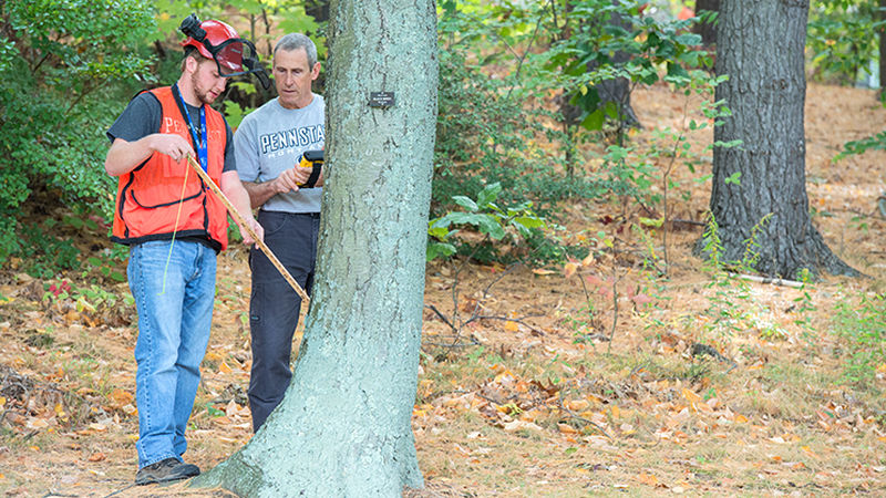 Forestry Student and Instructor Measure Tree Forestry Student and Instructor Measure Tree