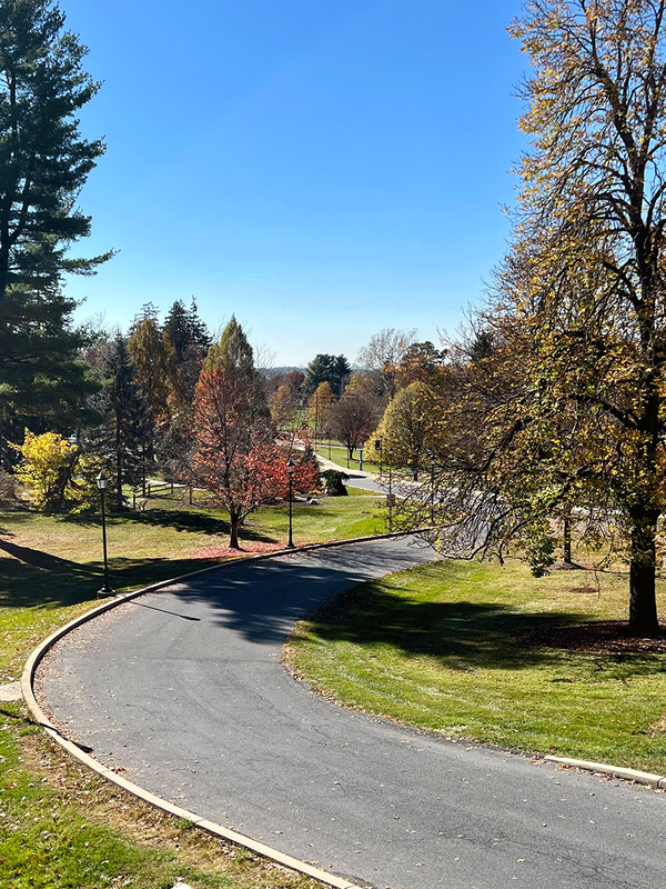 Fall image of campus along Campus Drive 