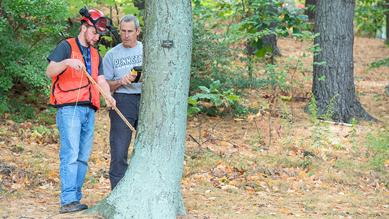 Forestry Student and Instructor Measure Tree