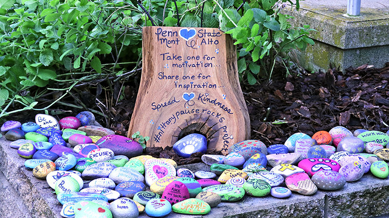 Nittany Pause Rocks available at the Occupational Therapy House for the taking