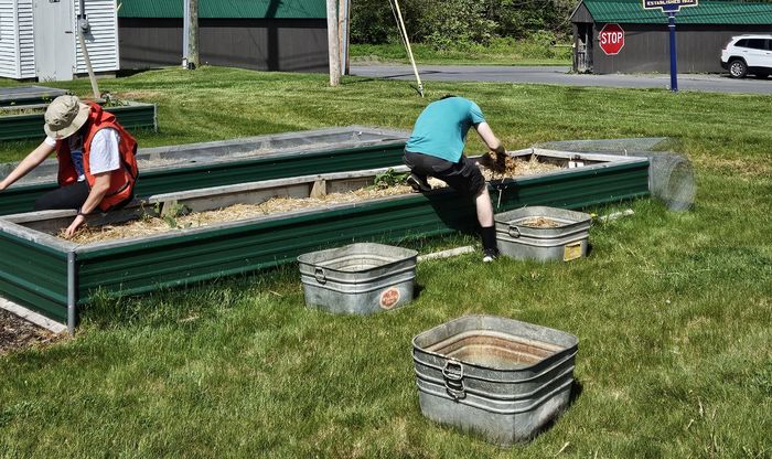Students working in a raised planter bed outside. 