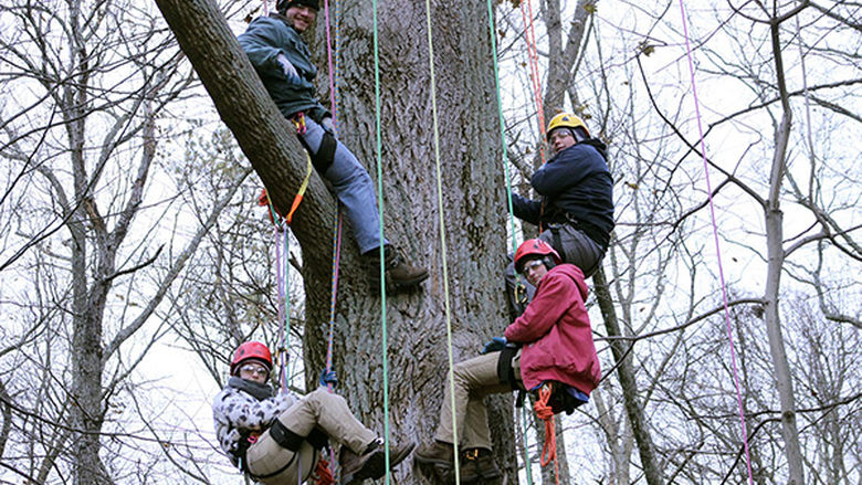Forestry Students Experience "Big Tree Climb"
