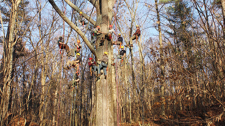 Penn State Mont Alto forestry students' Big Climb