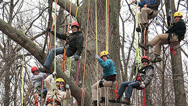 Students hanging from a large tree