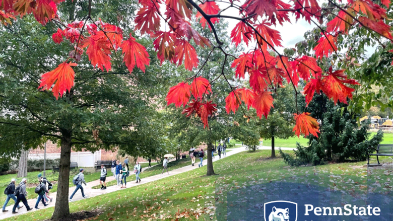 Students walking across campus during the fall. 