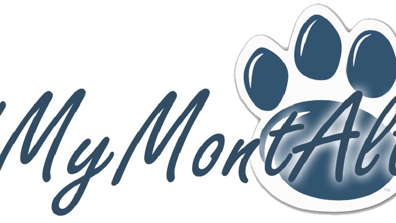 SnapChat #MyMontAlto Geofilter Image