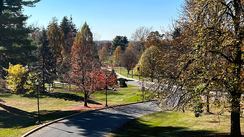 Fall image of campus along Campus Drive 