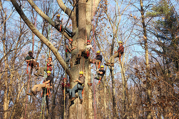 Mont Alto Forestry Students' Big Climb Class Photo 2017