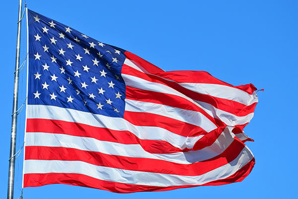 United States Flag United States Flag