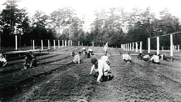 Pennsylvania State forest Academy students weed seedlings in 1933.