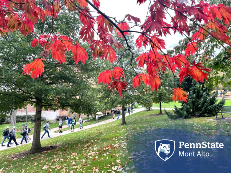 Students walking across campus during the fall.