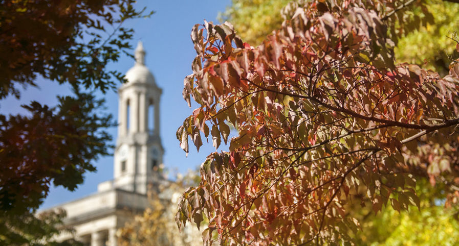 Old Main bell tower with autumn leaves in foreground